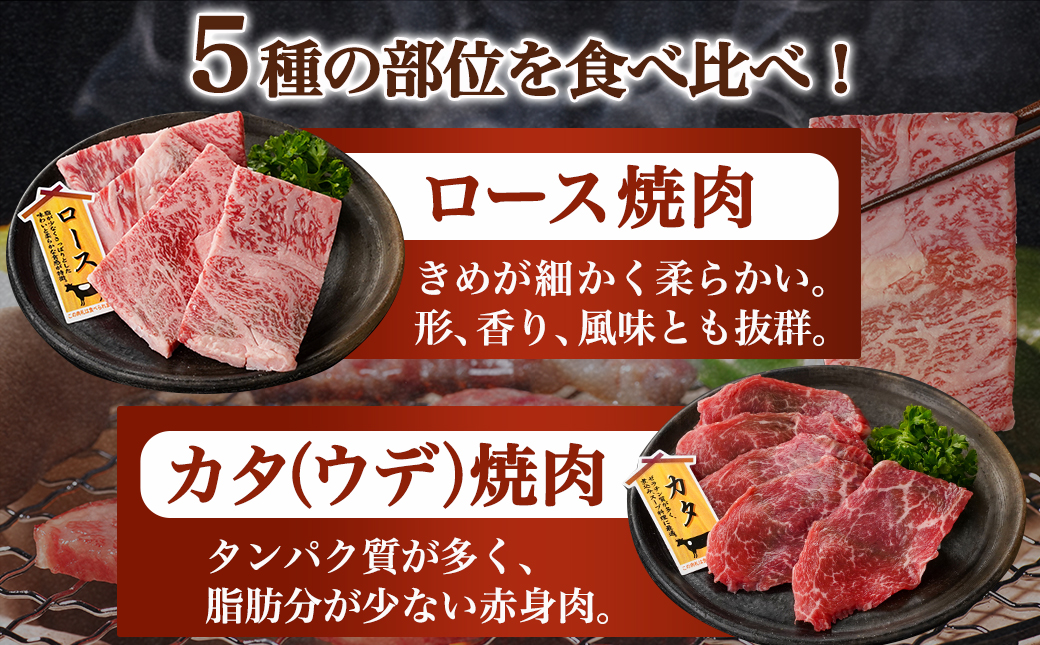宮崎牛バラエティ焼肉セット1kg_22-8906_【肉 牛肉 焼き肉 焼肉 人気 おすすめ 国産 宮崎県産】