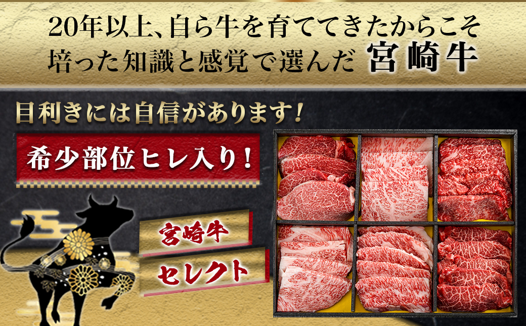 ≪希少部位ヒレ入り!≫ 宮崎牛【特選】6種盛 焼肉堪能セット 600g_24-6502_【肉 牛肉 焼き肉 焼肉 人気 おすすめ 国産 宮崎県産】