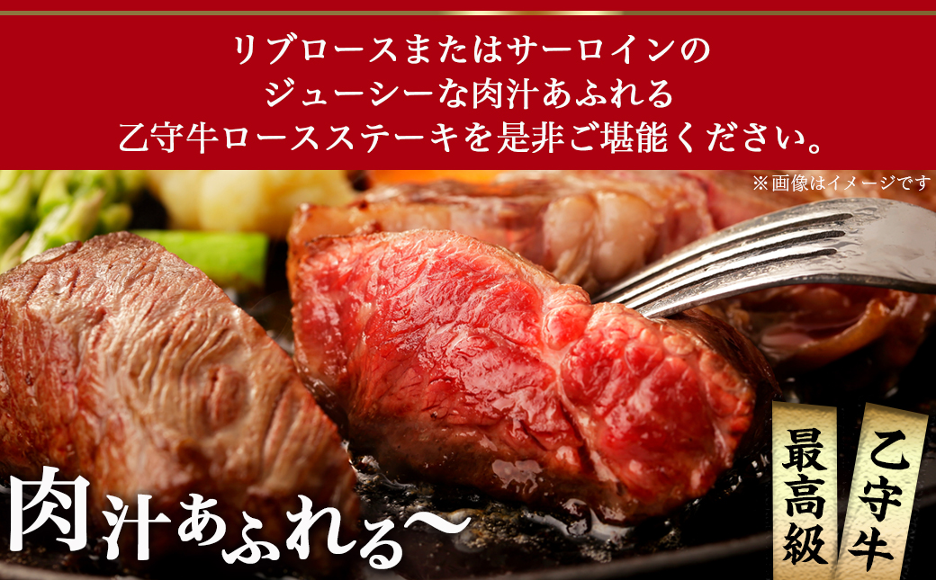 数量限定!【宮崎牛A5】ロースステーキ 計約440g(2枚) (乙守牛)_26-6501