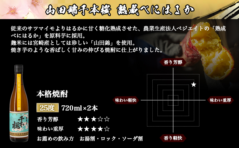 【柳田酒造】山田錦千本桜 熟成べにはるか(25度)720ml×2本 ≪みやこんじょ特急便≫_AA-0750