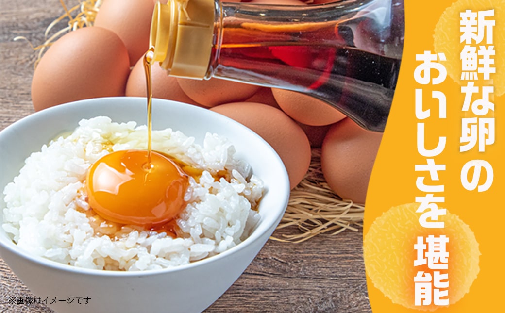 【年内お届け】よかもよか卵&紅白きみ恋卵≪2025年12月15日～31日お届け≫_AA-2914-HNY