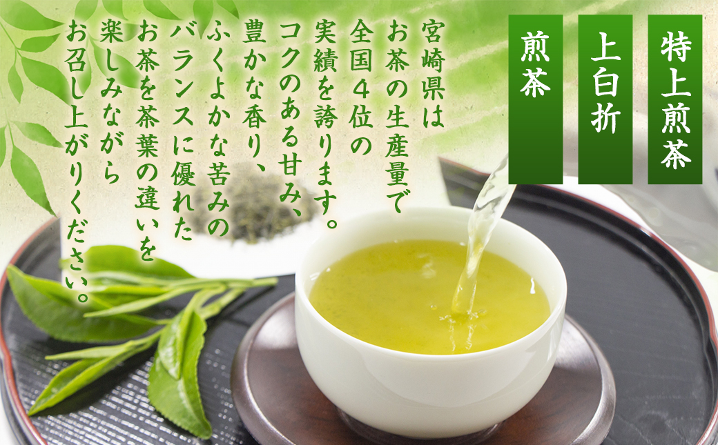 盆地からの贈り物 特上煎茶セット≪みやこんじょ特急便≫_AA-4801-Q