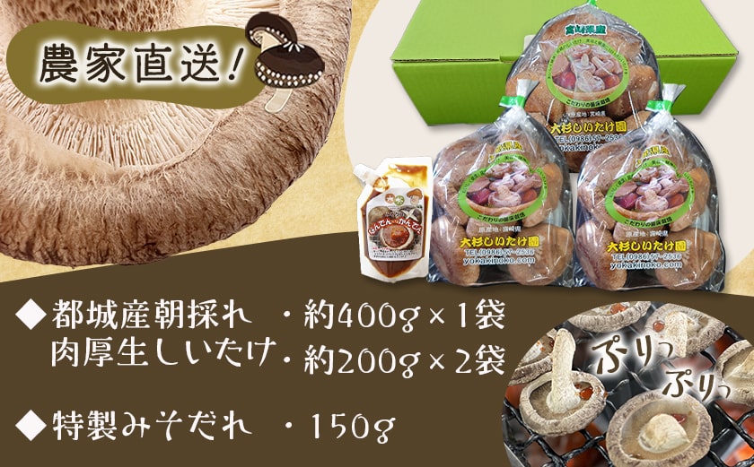 【母の日】朝採れ肉厚生しいたけと特製みそだれ≪5月7日～10日お届け≫_AA-8701-MG