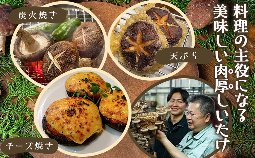 朝採れ肉厚生しいたけと特製みそだれ_AA-8701