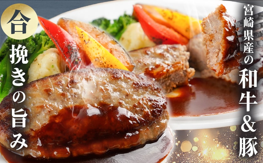 一口チキン南蛮&和牛入り合挽ハンバーグセット_AA-9236