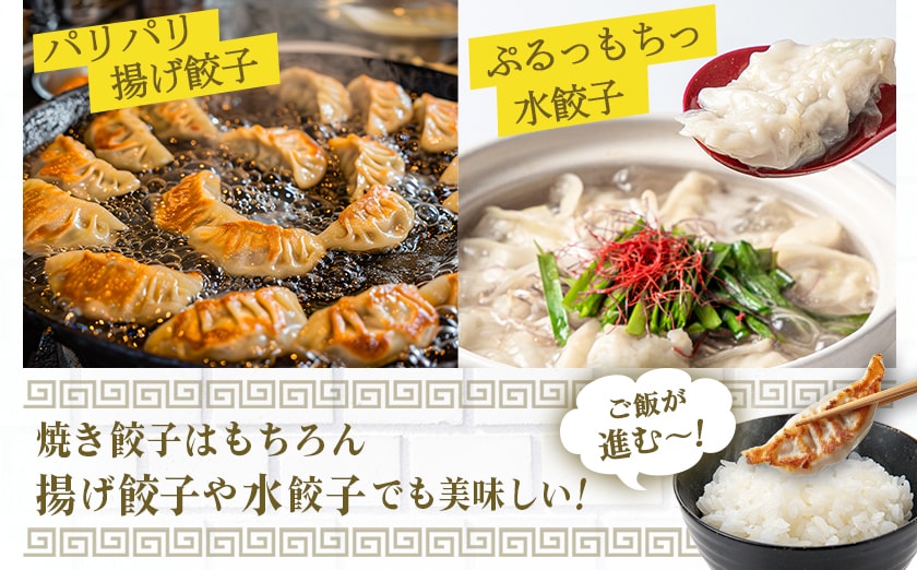 お手軽おかず2種≪一口チキン南蛮&餃子≫セット_AA-9237