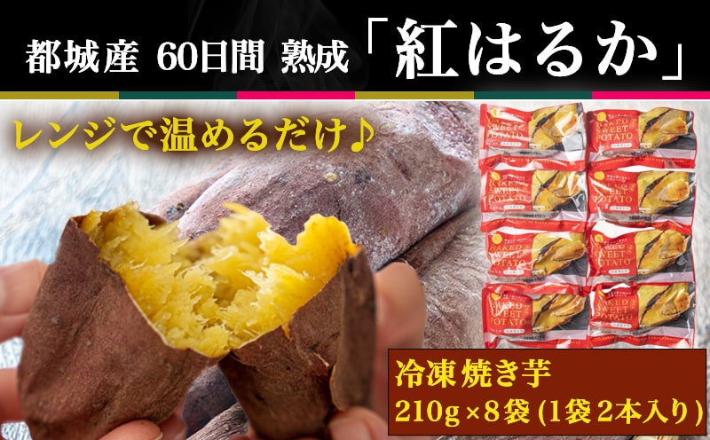 島津甘藷(紅はるか)冷凍焼き芋 16本_AA-A702