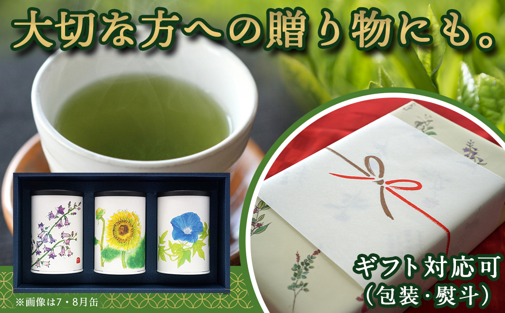 斉光園のふかむし茶☆ギフト缶でお届け≪みやこんじょ快速便≫_AA-C307-R