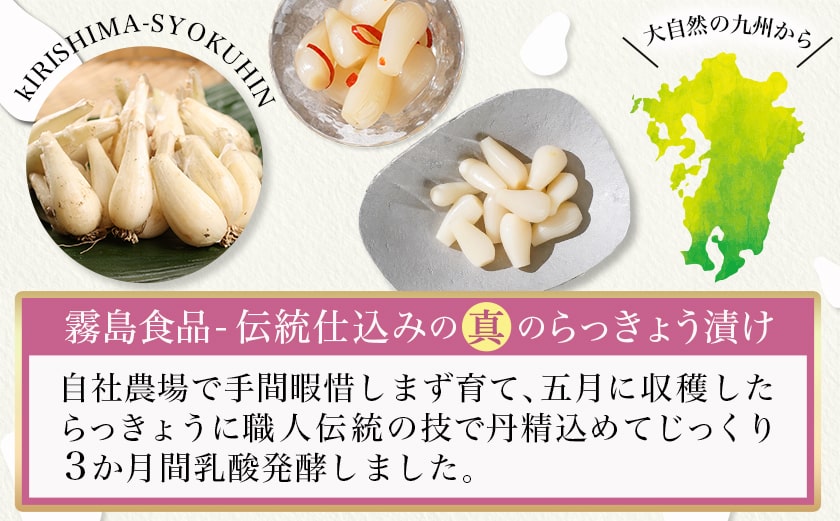 霧島らっきょう甘酢・ピリ辛12袋セット_AA-C803