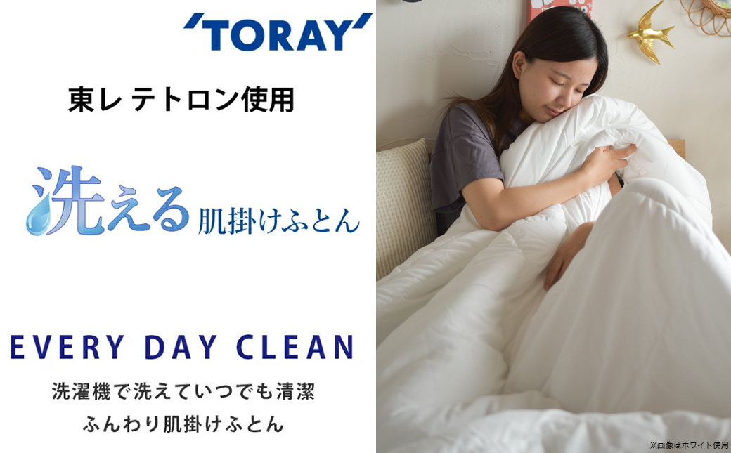 【ブルー】洗える(東レFT)使用肌掛けふとん【SL】_AA-J202-bl