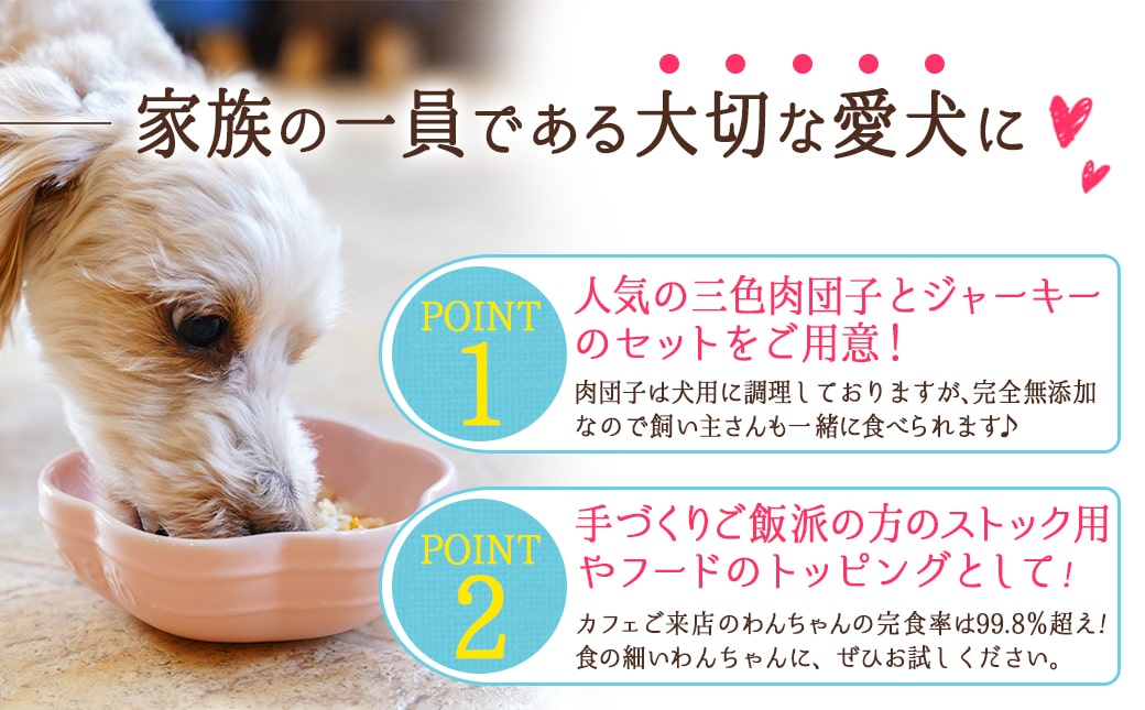 手づくり☆わんご飯「ご褒美セット」_AA-J501