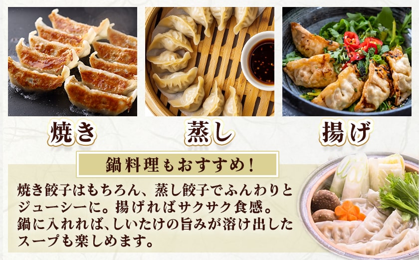 しいたけ屋さんの旨ぎょうざ_AA-M101