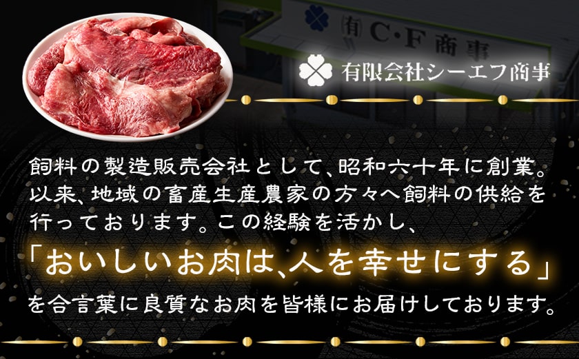 宮崎牛牛すじ1kg(250g×4P)_AA-N301