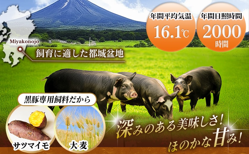 黒豚ロースしゃぶしゃぶ用500g&ポークソーセージセット_AA-N404