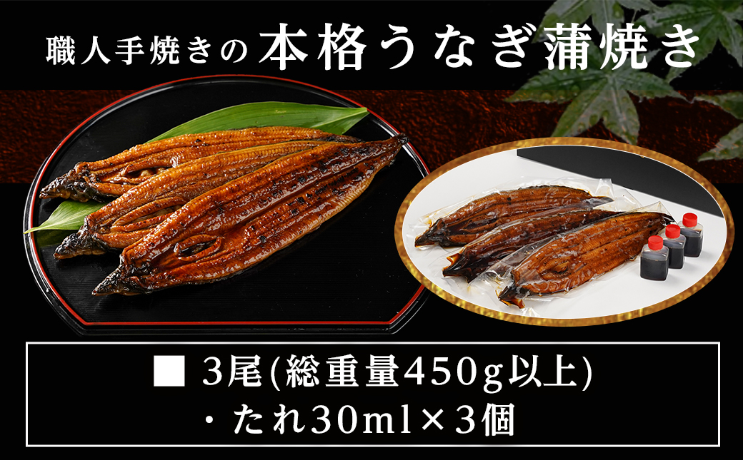 職人手焼きの本格うなぎ蒲焼き3尾≪みやこんじょ特急便≫_AC-3301-Q