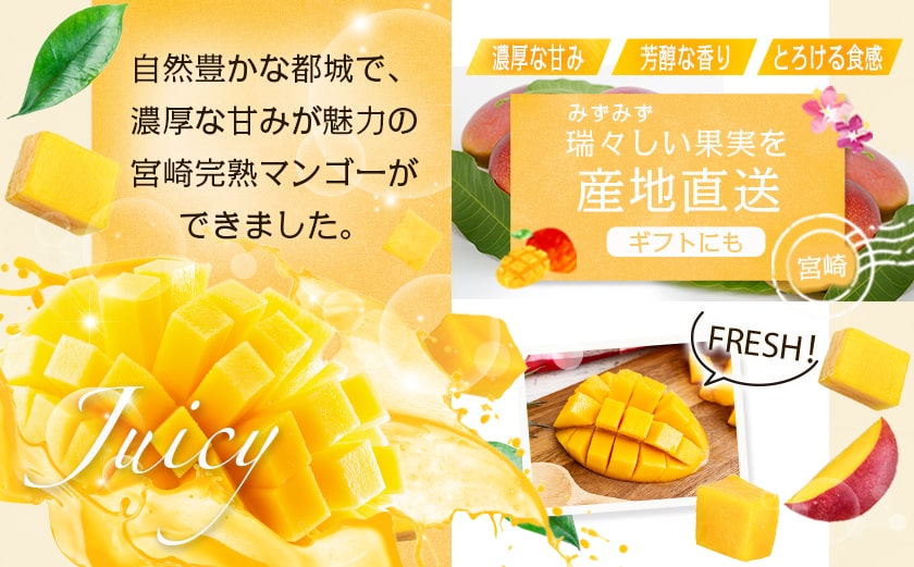 【先行受付!】宮崎完熟マンゴー2～3玉(都城産)_AC-3303_【果物 先行予約 フルーツ】