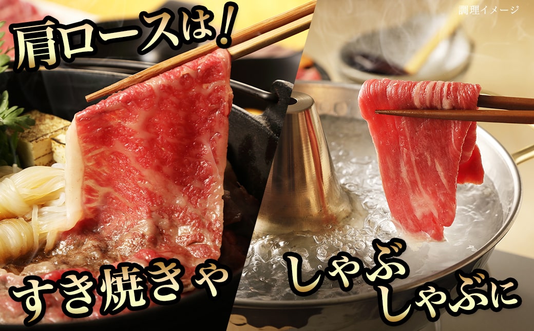 宮崎牛焼肉4種盛り&宮崎牛肩スライス500g合計980gセット_AC-8923_【肉 牛肉 焼き肉 焼肉 スライス すき焼き しゃぶしゃぶ 人気 おすすめ 国産 宮崎県産】