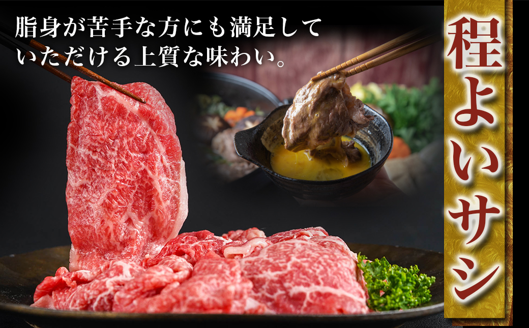 宮崎牛赤身切り落とし(500g×2P)_AC-N403_【肉 牛肉 切り落とし 焼き肉 焼肉 スライス すき焼き しゃぶしゃぶ 人気 おすすめ 国産】