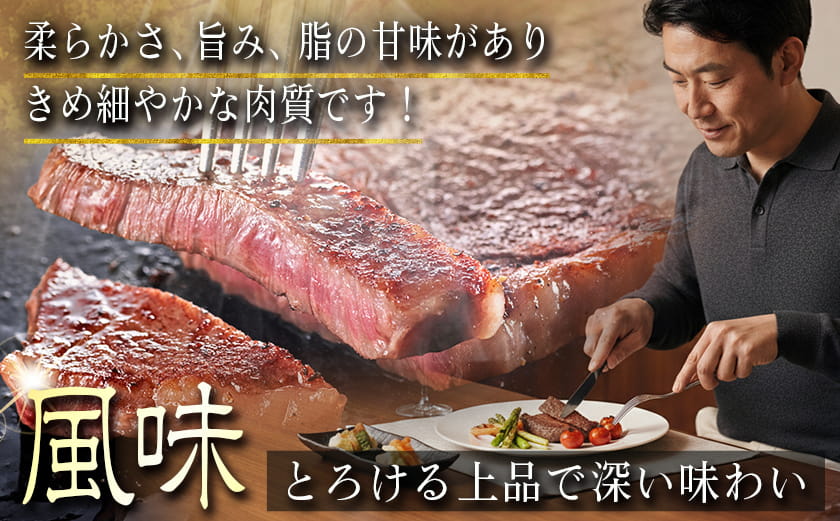 宮崎牛モモ・リブロースステーキ1.2kgセット_AD-2510