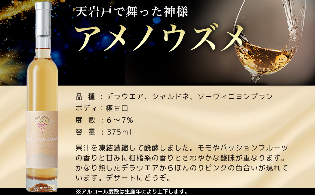 【☆クリスマス☆】都城ワイナリー☆クリスマスを彩る4本ワインセット≪12月20日～23日お届け≫_AF-3501-OJX