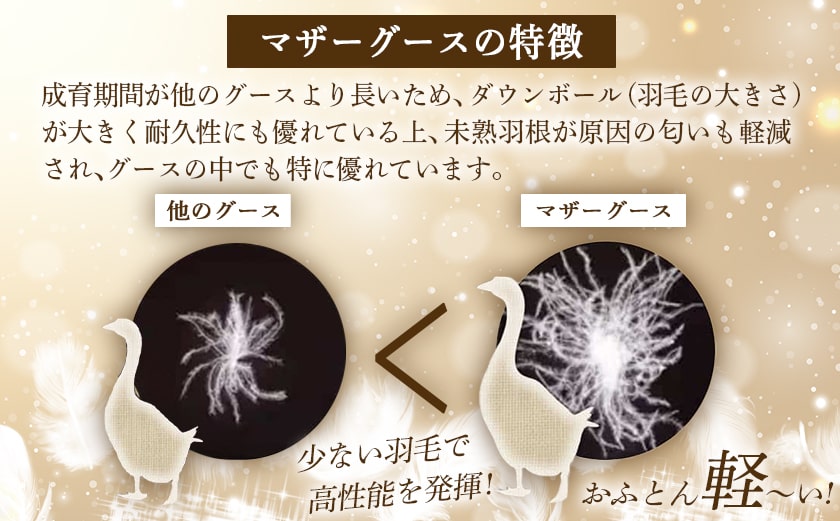 羽毛二層掛けふとん ポーランド産ホワイトマザーグース95%【S】≪みやこんじょ快速便≫_AL-E103-R