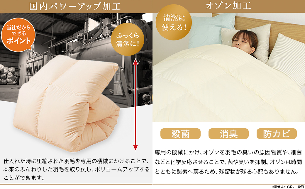 【アイボリー】これだけあれば安心!超増量二層キルト羽毛掛布団95%プレミアムゴールドラベル1.5kg SL_AL-J201-iv