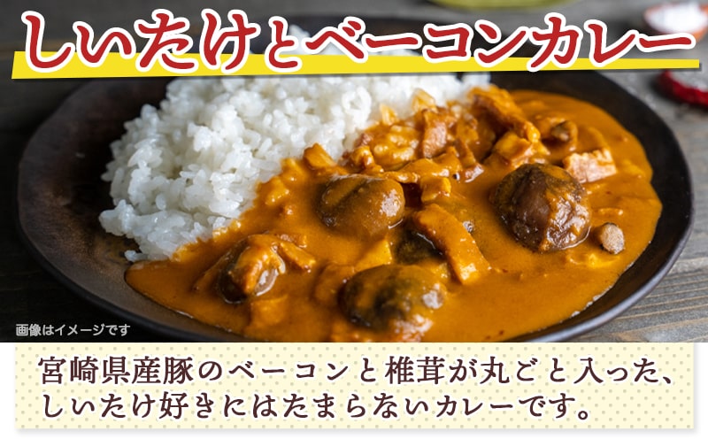 みやざきカレー3種セット※ポスト投函_LB-15-002