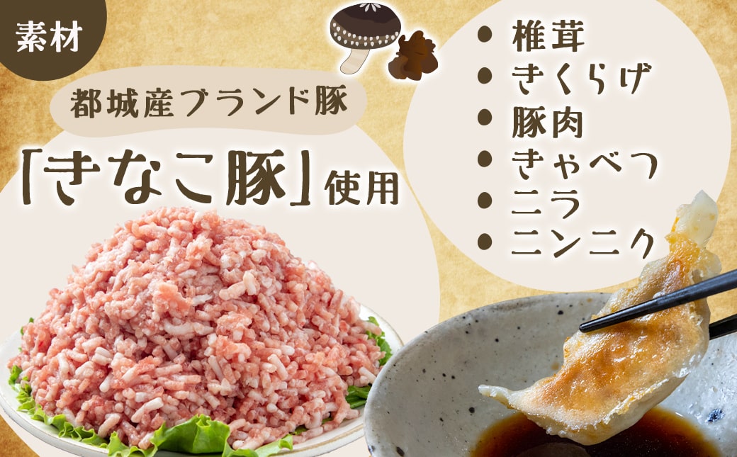 香り立つ!!「きのこ餃子」36個_LF-8701