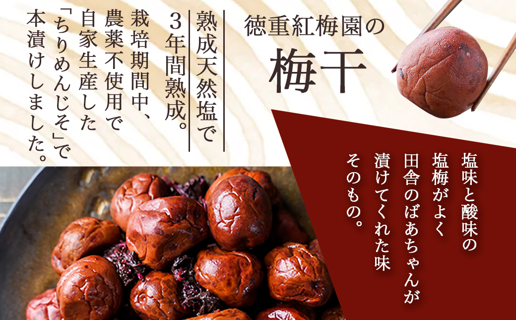 徳重おばあちゃんがつくった昔ながらの3年熟成梅干1.3kg_MA-4901