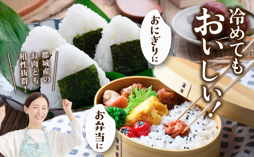 都城盆地のお米「おてんとそだち」6kg(3kg×2袋)_MJ-15-006-6kg