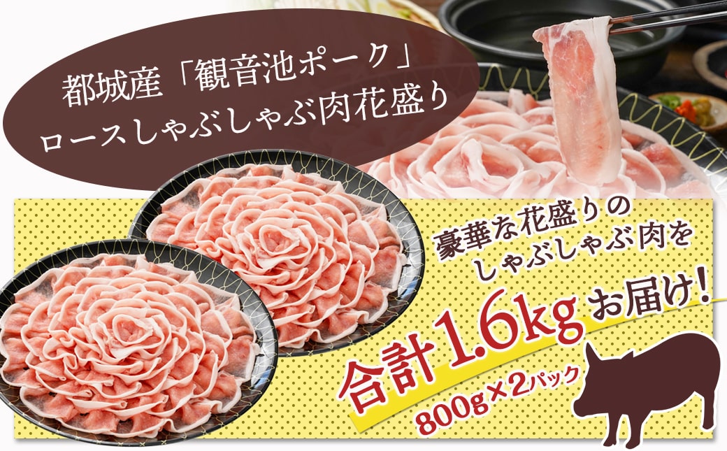 観音池ポーク ロースしゃぶしゃぶ〈皿盛〉1.6kg_MJ-1564