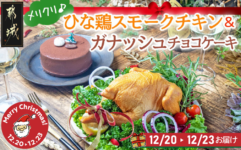 【☆クリスマス☆】★数量限定★メリクリ♪九州産ひな鶏スモークチキン＆ガナッシュチョコケーキ≪12月20日～23日お届け≫_MJ-1567-OJX