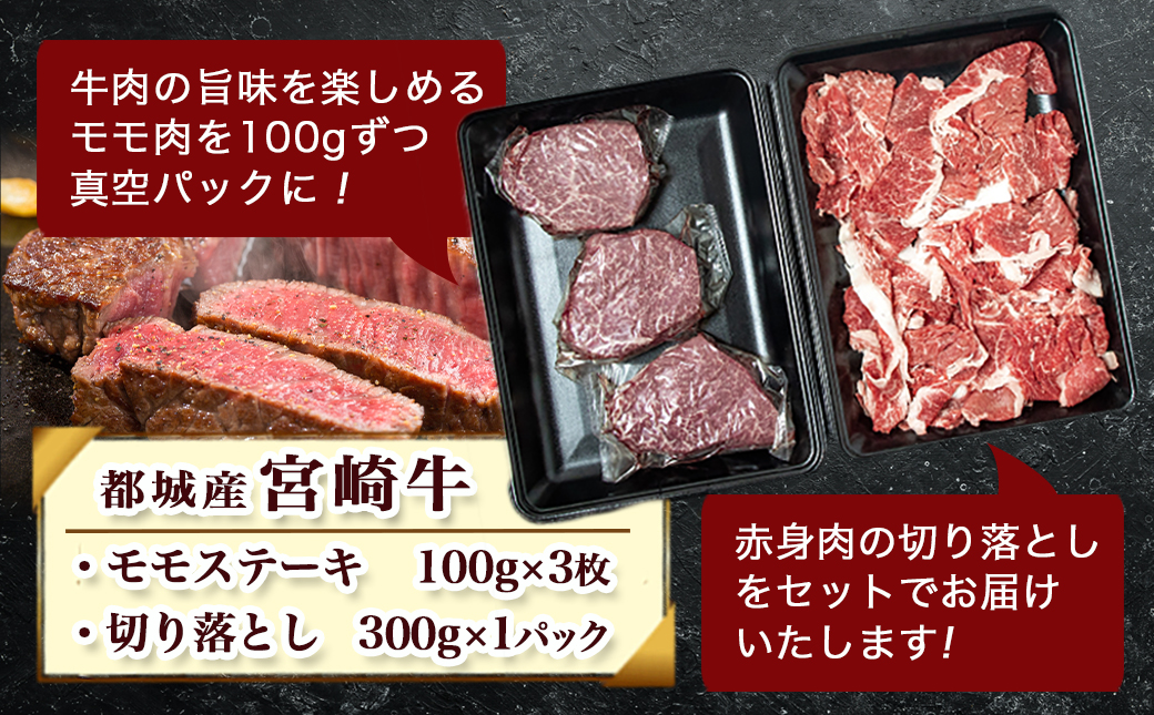 宮崎牛モモステーキ・切り落とし600gセット_MJ-2510_【肉 牛肉 切り落とし 焼き肉 焼肉  ステーキスライス すき焼き しゃぶしゃぶ 人気 おすすめ 国産】