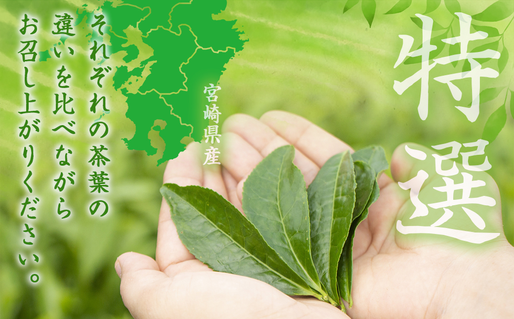 ≪特選茶≫煎茶・白折味くらべセット_MJ-4804