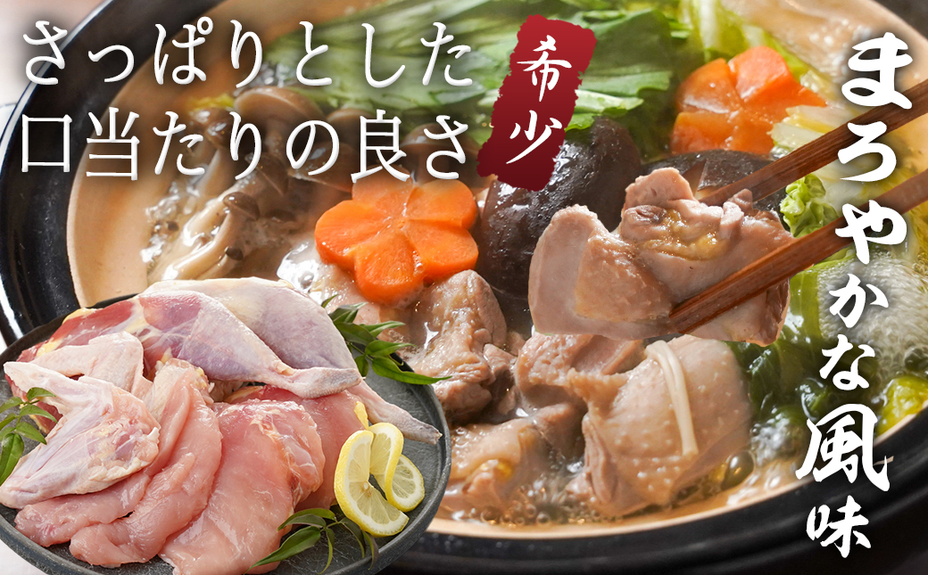 【たしろ屋】都城産キジ肉1羽セット_MJ-9910