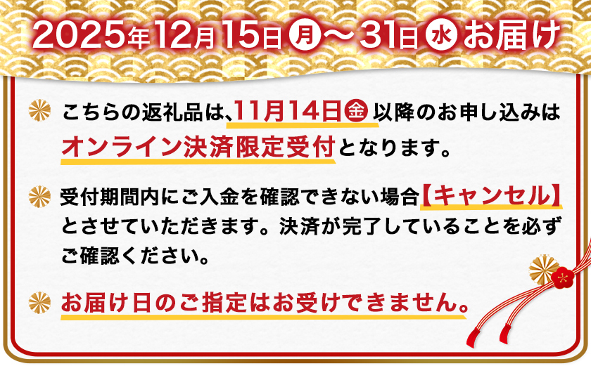 【年内お届け】とろける宮崎牛ビーフシチュー5パックセット≪2025年12月15日～31日お届け≫_MJ-H301-HNY