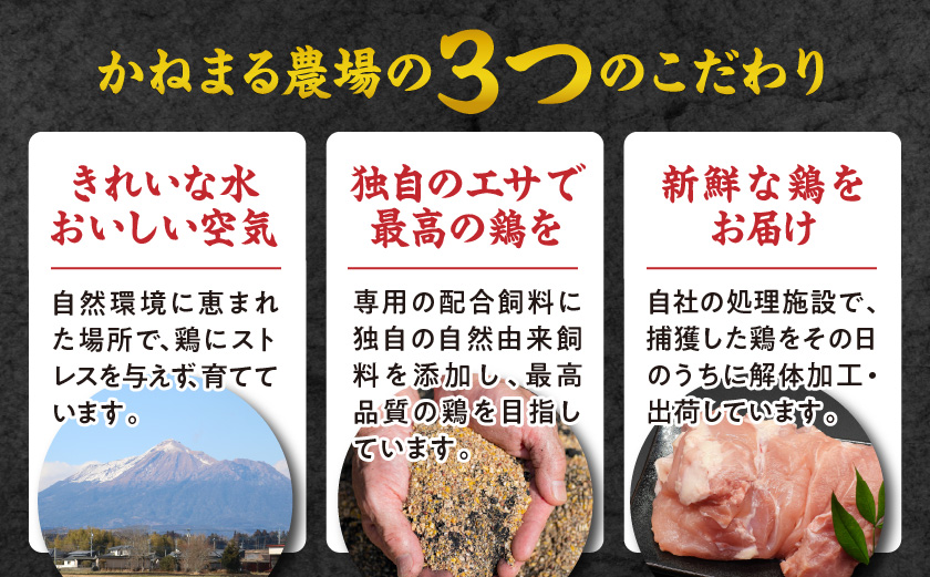 かねまる農場のみやざき地頭鶏1羽まるごとセット_MJ-J705