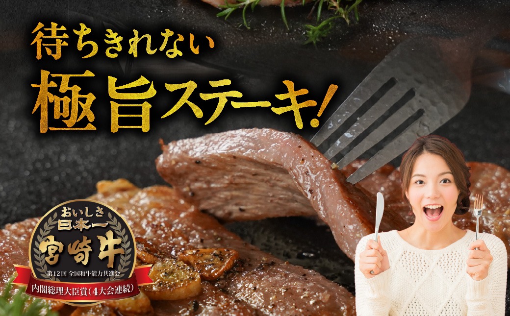 畜産農家応援! 宮崎牛ロースステーキ2枚 計500g_MJ-N201