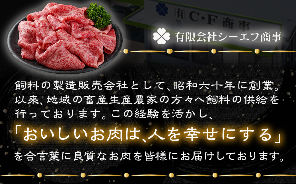 宮崎牛肩ローススライス500g_MJ-N301