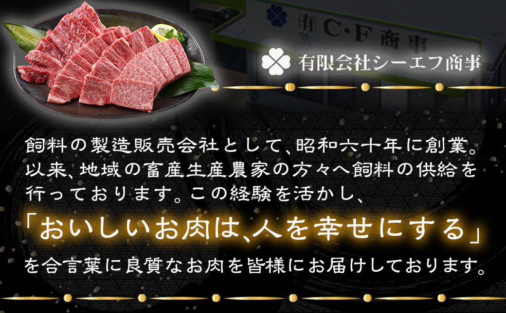 宮崎牛肩ロース焼肉用500g_MJ-N302_【肉 牛肉 焼き肉 焼肉 人気 おすすめ 国産 宮崎県産】