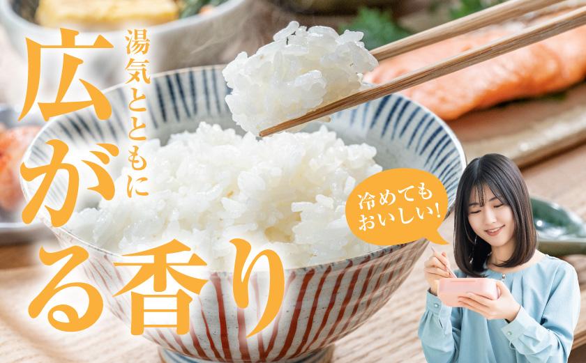 都城産ひのひかり特別栽培米「ぼんちそだち」5kg(5kg×1袋)_MJ-N503