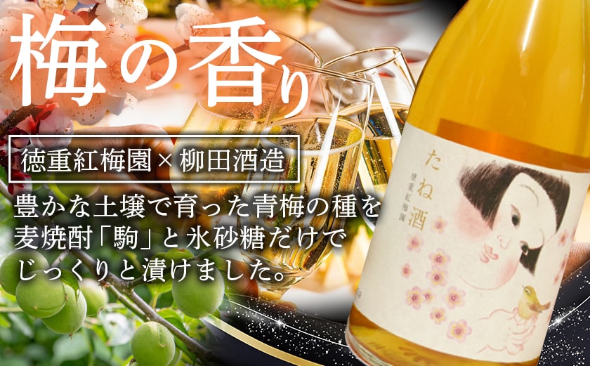 芋焼酎・麦焼酎・たね酒4本セット ≪みやこんじょ特急便≫_MK-3506