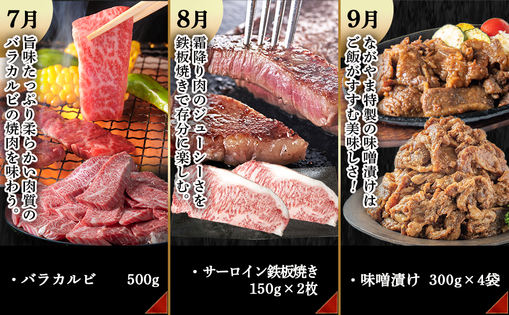 宮崎牛定期便(12回お届け) Dコース_T100(12)-2501