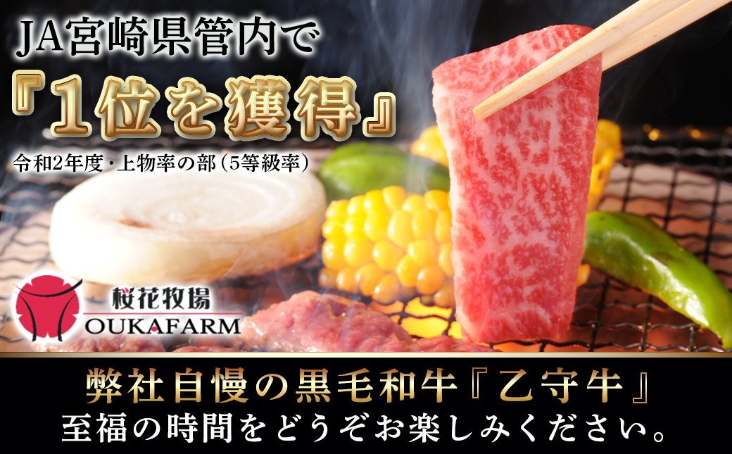 ≪限定200セット≫隔月6回お届け!【宮崎牛A5】焼肉6種盛り(乙守牛）_T192-6-6501_【肉 牛肉 焼き肉 焼肉 人気 おすすめ 国産 宮崎県産】