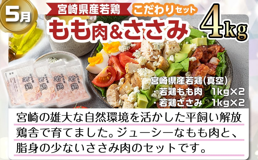【セレクト定期便】～たっぷり～鶏定期便(3ヶ月)1月・3月・5月お届け≪2026年お届け≫_T41-MY02