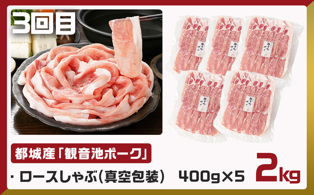 《3回連続お届け》観音池ポーク&宮崎県産豚定期便_T45-3-9201
