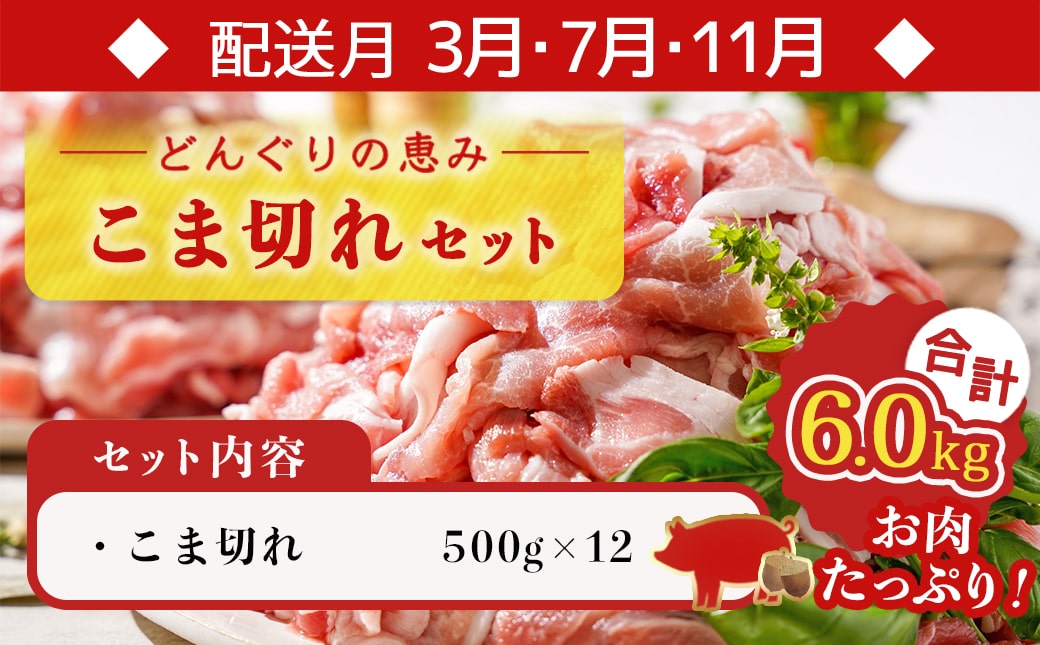 「どんぐりの恵み豚」お肉満載定期便(5ヶ月)_T60(5)-1102