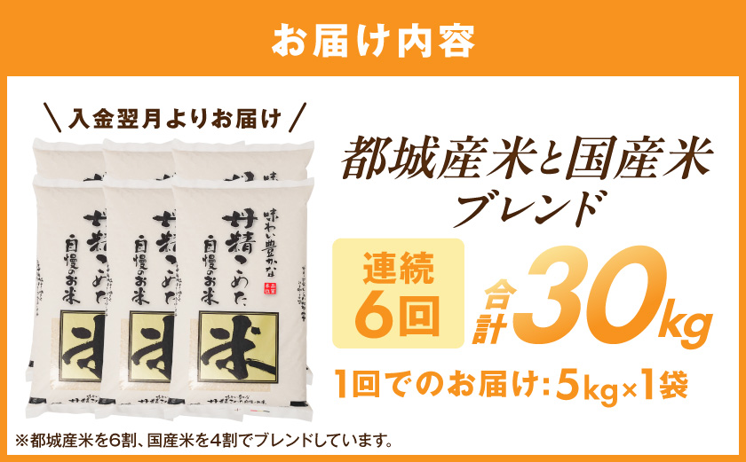 ≪6回お届け!≫都城産米と国産米ブレンド 5kg_T66-6-33-001-5kg