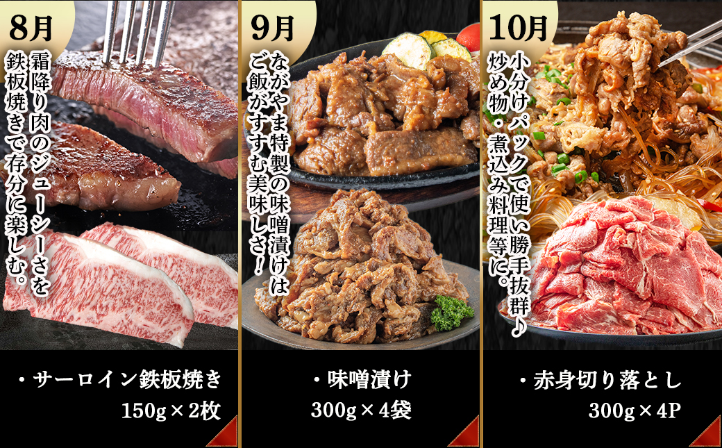 宮崎牛定期便(10回お届け) Bコース_T80(10)-2502