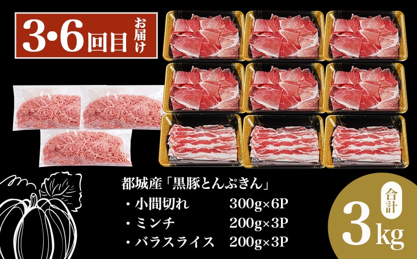 【6回お届け!】「黒豚とんぷきん」定期便≪総重量16kg≫_T90-6-5901